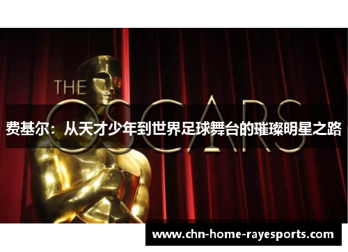 费基尔：从天才少年到世界足球舞台的璀璨明星之路