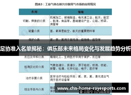 足协准入名单揭秘：俱乐部未来格局变化与发展趋势分析