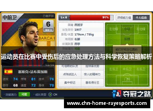 运动员在比赛中受伤后的应急处理方法与科学恢复策略解析