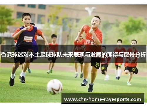 香港球迷对本土足球球队未来表现与发展的期待与愿景分析