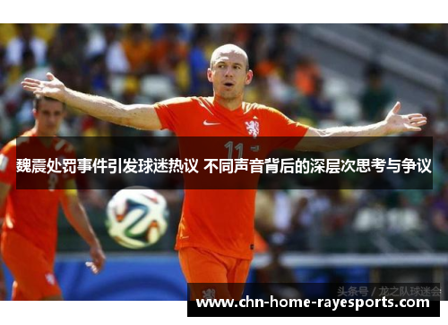 魏震处罚事件引发球迷热议 不同声音背后的深层次思考与争议